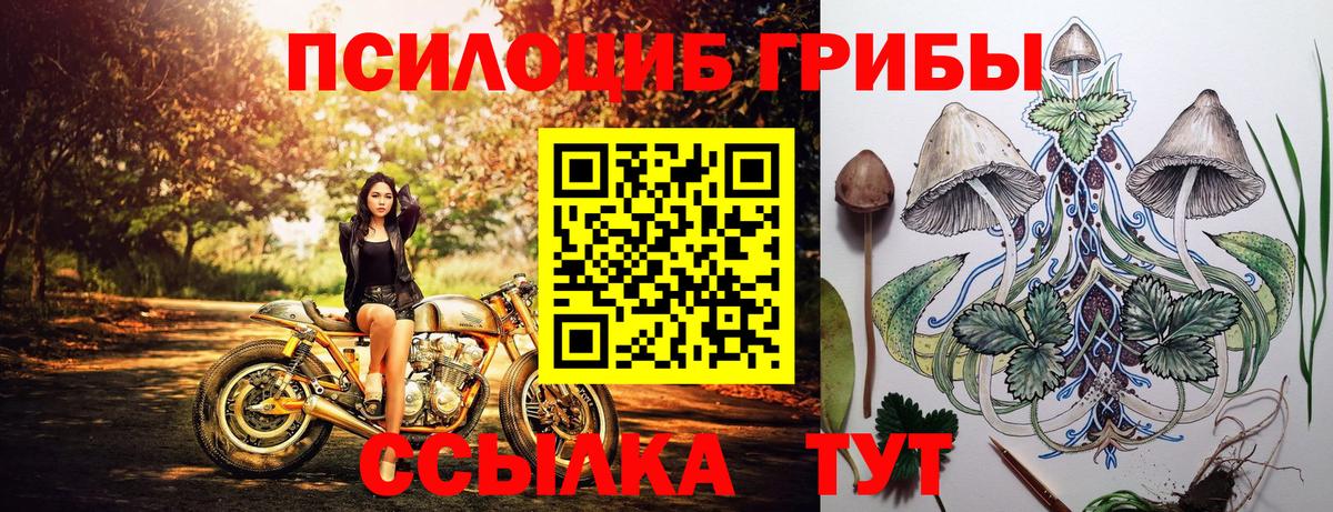 Псилоцибиновые грибы MAGIC MUSHROOMS  Вход с VPN  Углич 